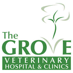 The Grove Veterinary Hospital & Clinics