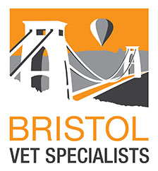 Bristol Vet Specialists logo